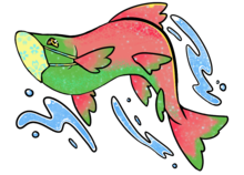 Puyallup Watershed Salmon Homecoming's avatar